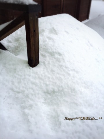 ただ今 暴風雪！！_a0337860_11124689.jpeg