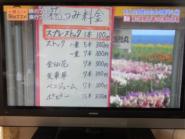 ’16,2,29(日)勝浦観光がTVで紹介されてたよ!_f0060461_754945.jpg