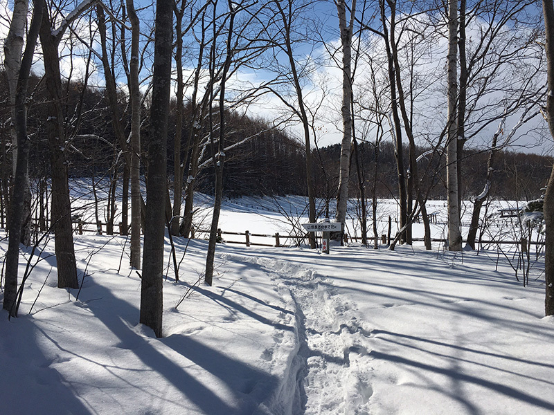 幌岩山と流氷を求めて。。。_f0054366_21042090.jpg