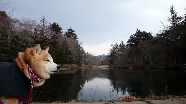b0274270_12545288.jpg