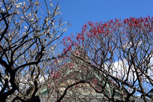 c0210275_09181335.jpeg