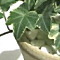 第十四話 使えば用具、愛でれば道具_e0200879_12225469.jpg