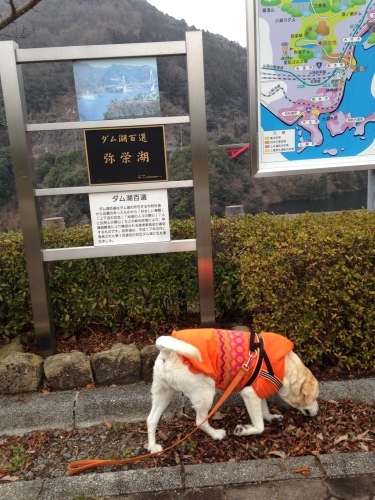 f0315081_21261199.jpeg