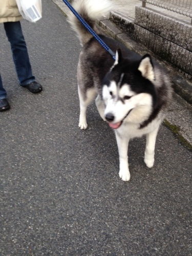f0315081_21272614.jpeg
