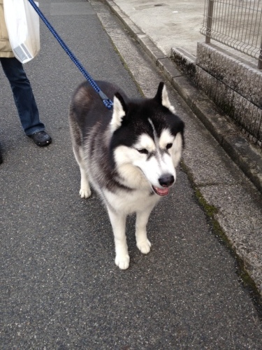 f0315081_21281362.jpeg