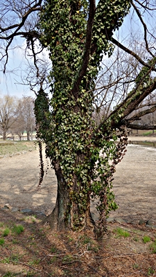b0018682_1455455.jpg