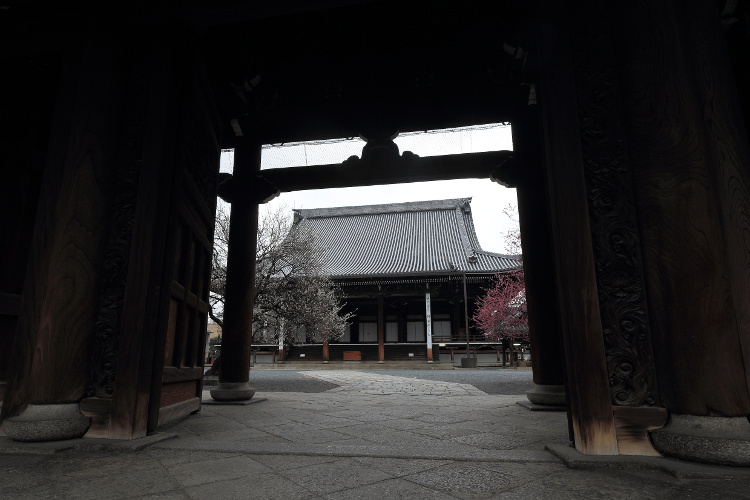 本山興正寺_e0051888_213073.jpg