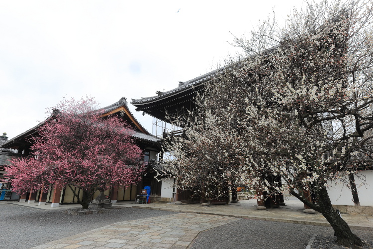 本山興正寺_e0051888_2145965.jpg