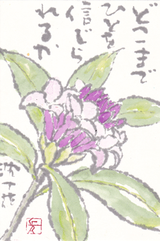 a0030594_2326688.gif
