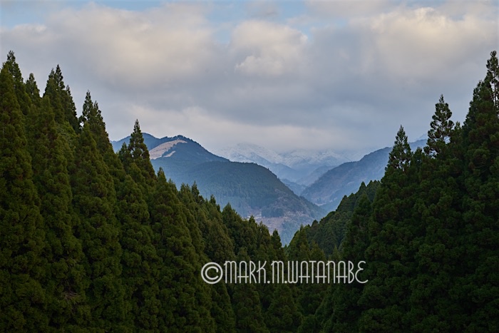 雪山を眺める_e0135098_794180.jpg