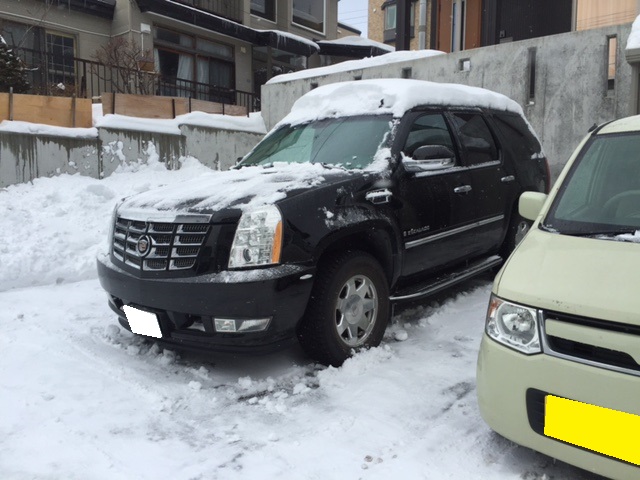 3月1日　火曜日のひとみぶろぐ！本日猛吹雪！　ﾗﾝｸﾙ・ﾊﾏｰはTOMMY♫_b0127002_17422159.jpg