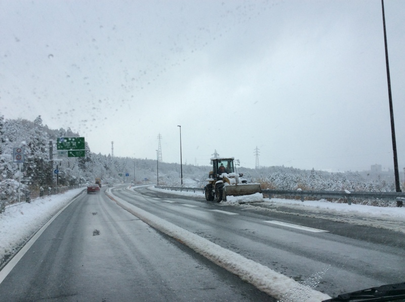 b0220002_20420286.jpeg