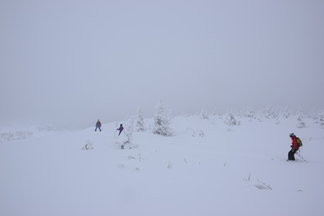c0242406_15374543.jpg