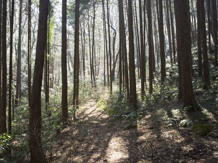 e0276411_17193420.jpg