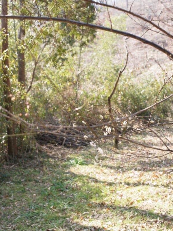 e0276411_17201450.jpg