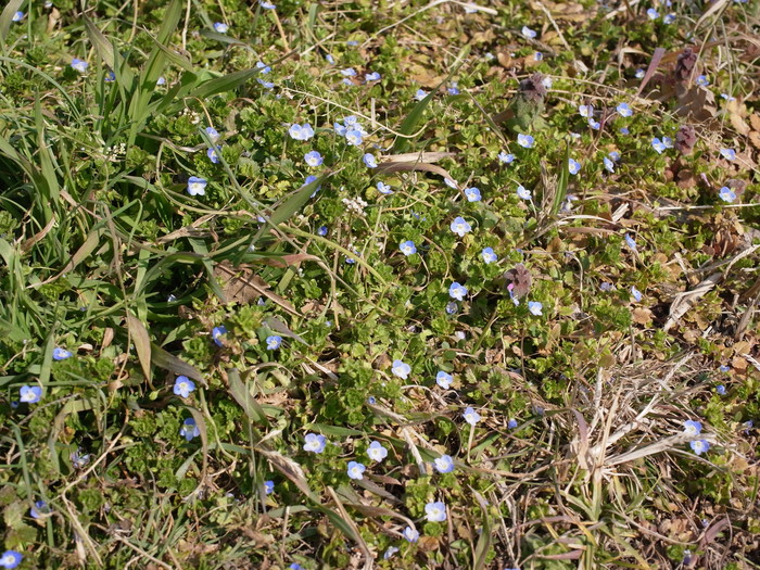e0276411_17203774.jpg