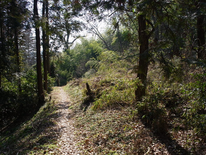 e0276411_1720731.jpg