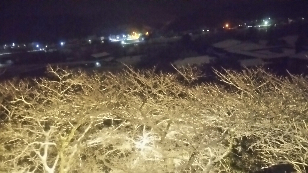 b0133713_09285567.jpg