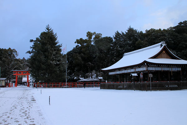 春の淡雪1 上賀茂神社_e0048413_16242479.jpg