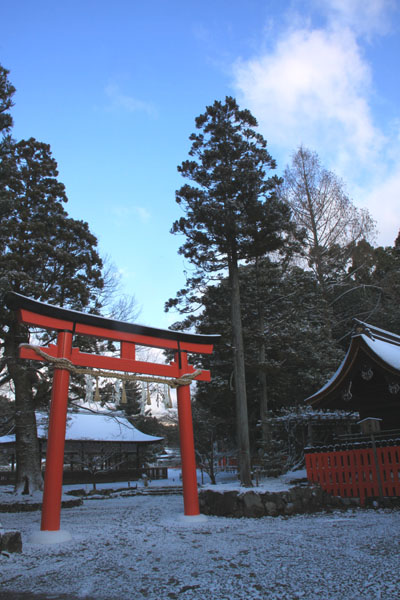 春の淡雪1 上賀茂神社_e0048413_16255640.jpg
