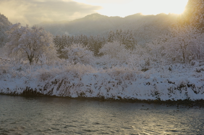 美山かやぶきの里　茅場_e0177413_20253614.jpg