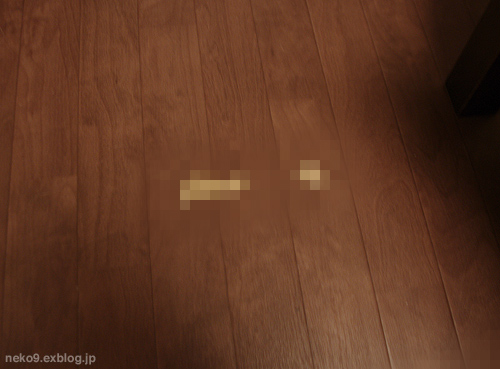 猫のゲロと健康チェックシート<追記あり>_a0233917_19305938.jpg