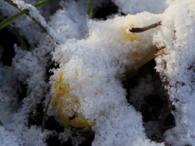e0242721_82221.jpg