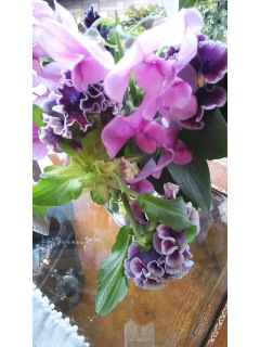 今日のお花_f0126121_1242914.jpg