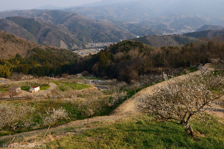 d0319222_9215531.jpg