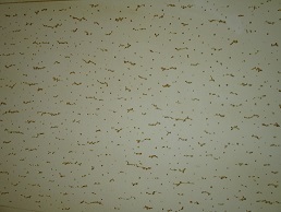 b0320131_23050001.jpg