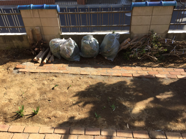 gardener_b0172633_16320359.jpg