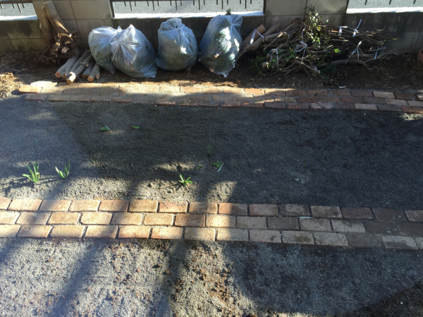 gardener_b0172633_16320437.jpg