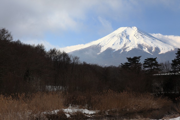 a0294534_19504274.jpg