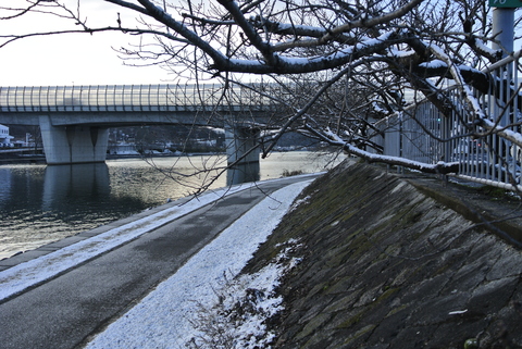 d0170835_7445199.jpg