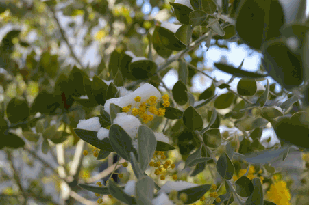 c0136736_9412243.gif
