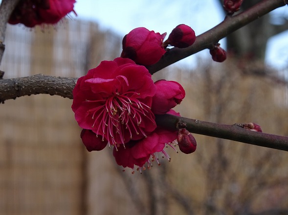 b0299042_21104646.jpg