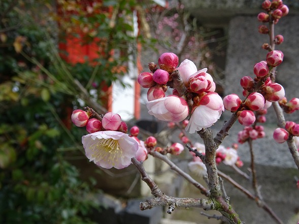 b0299042_2110565.jpg
