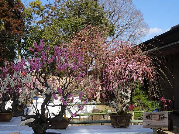 b0299042_21114419.jpg