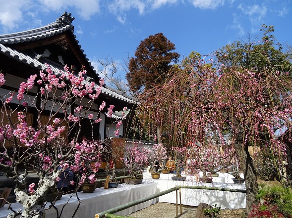 b0299042_212363.jpg