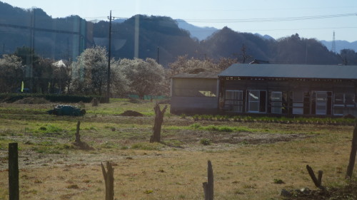 f0352451_23463603.jpg
