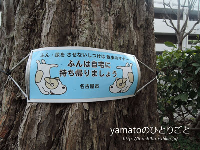 名古屋では犬もシャチホコ!?_a0286855_6311412.jpg