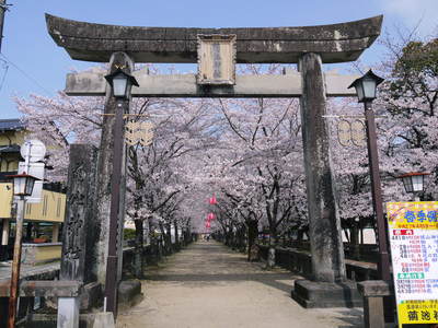 春の訪れを告げる「きくち初市」2016_a0254656_1834972.jpg