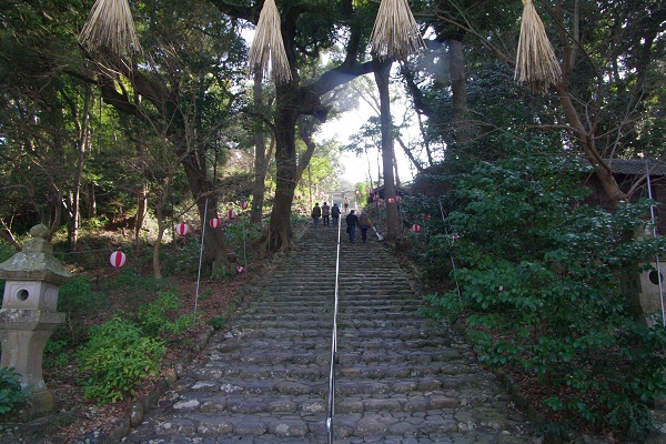 龍尾神社のしだれ梅_d0164761_13403739.jpg