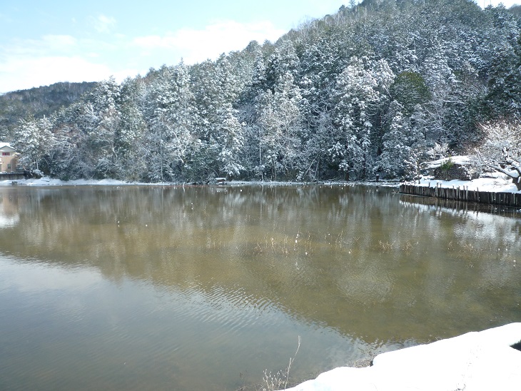 f0032265_21165311.jpg