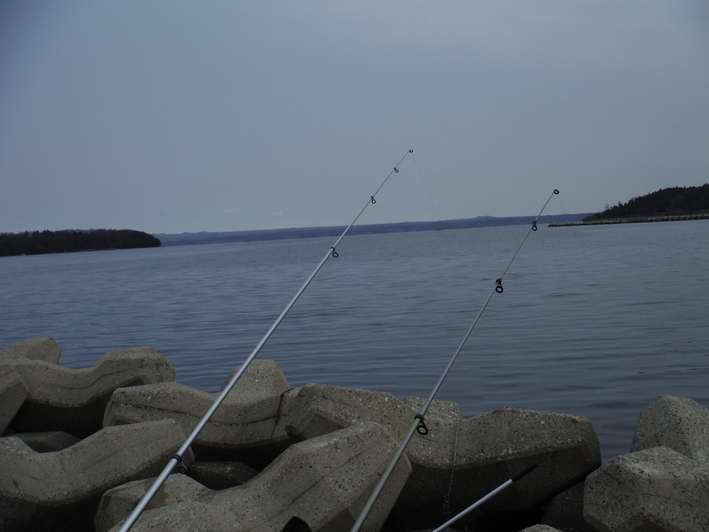 d0249266_1971539.jpg