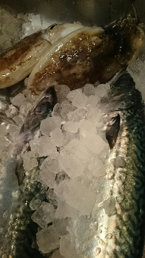 3月!寒い!_f0187266_17383513.jpg