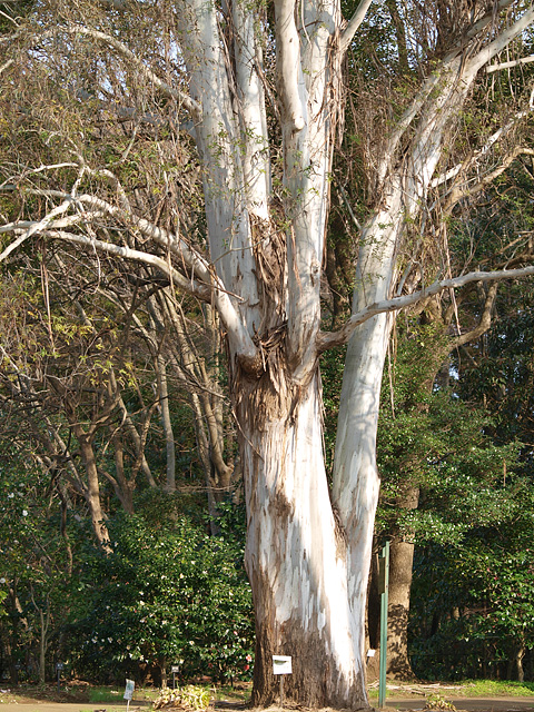 b0006870_23354988.jpg