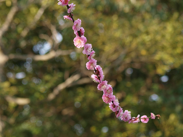 b0006870_2335823.jpg