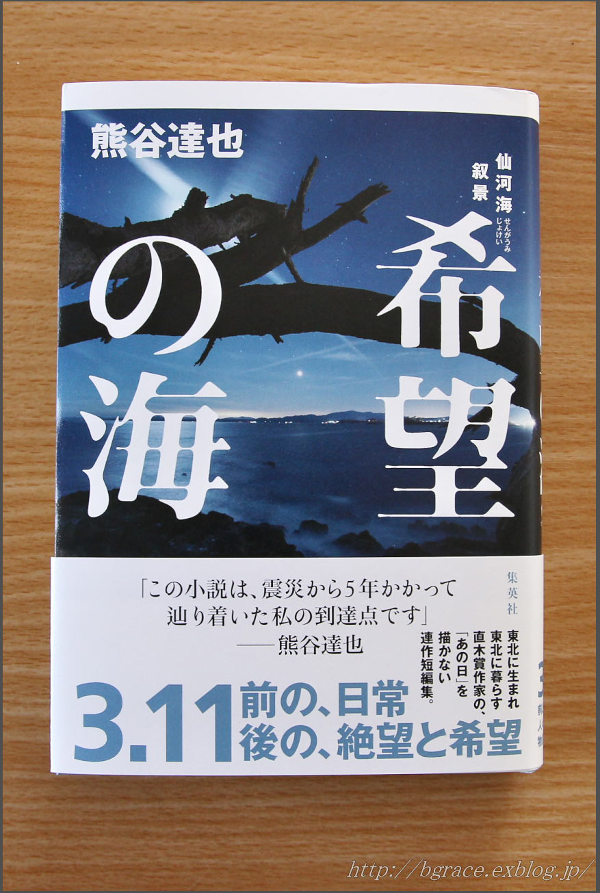 【告知】 小説 『 希望の海 仙河海叙景 』 に作品提供 _b0191074_20511079.jpg