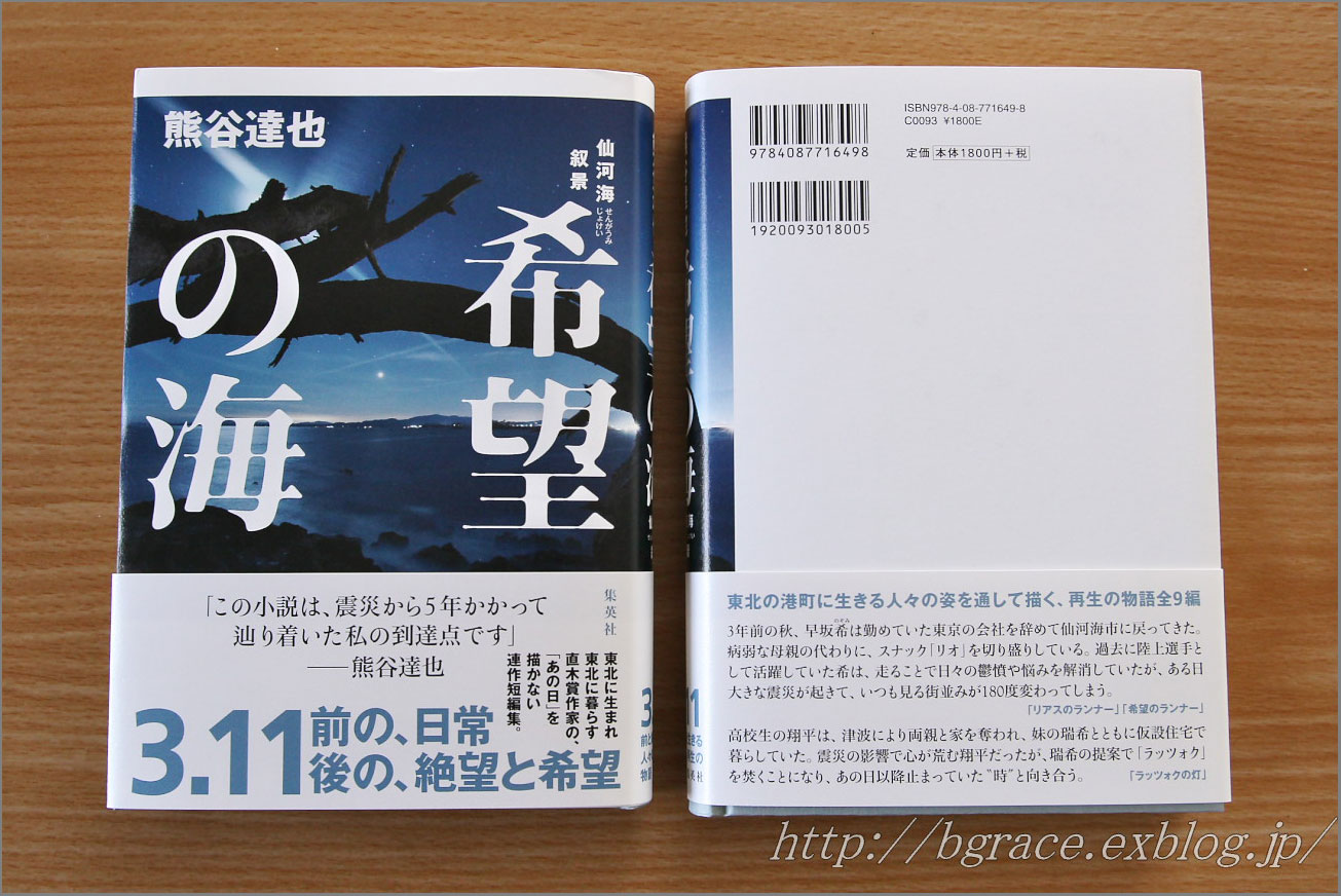 【告知】 小説 『 希望の海　仙河海叙景 』　に作品提供　_b0191074_20535062.jpg